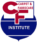 CFI Badge